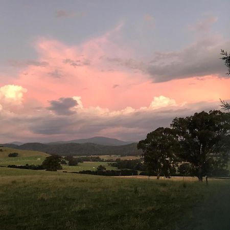 The Studio - Yarra Valley Yarra Glen Dış mekan fotoğraf