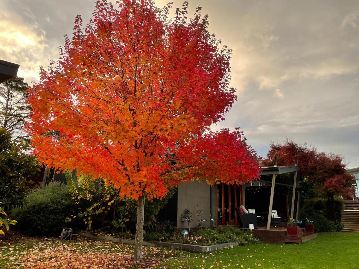 The Studio - Yarra Valley Yarra Glen Dış mekan fotoğraf