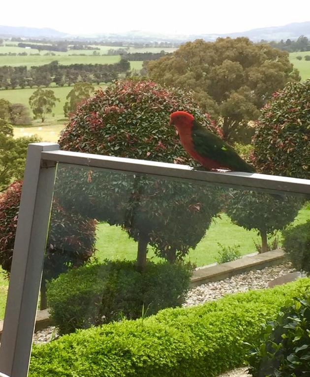 The Studio - Yarra Valley Yarra Glen Dış mekan fotoğraf